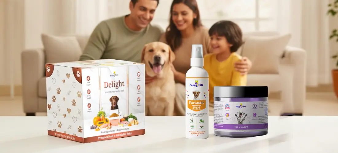 Complete → Food, Care & Comfort